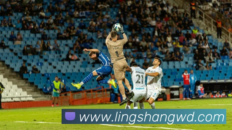 问鼎娱乐平台生态图